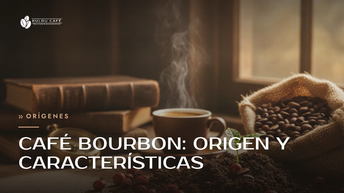 Café Bourbon: origen y características