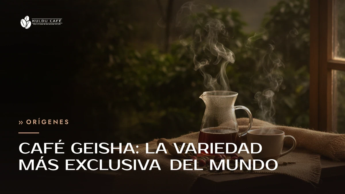 Café Geisha: la variedad más exclusiva del mundo
