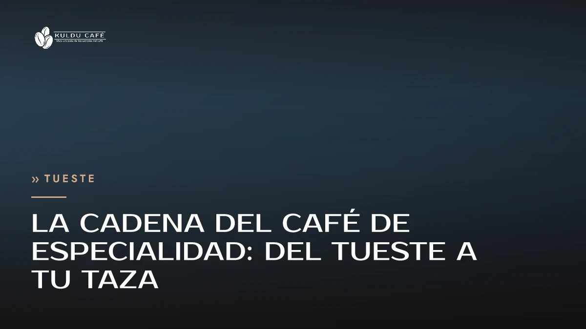 La cadena del café de especialidad: del tueste a tu taza