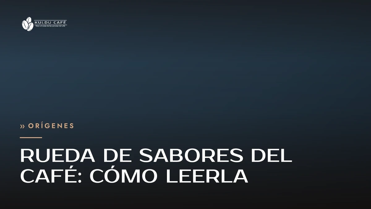 Rueda de sabores del café: cómo leerla