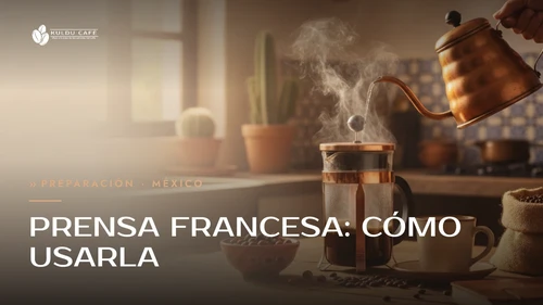 Prensa francesa: cómo usarla