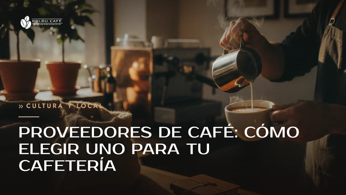 Proveedores de café: cómo elegir uno para tu cafetería