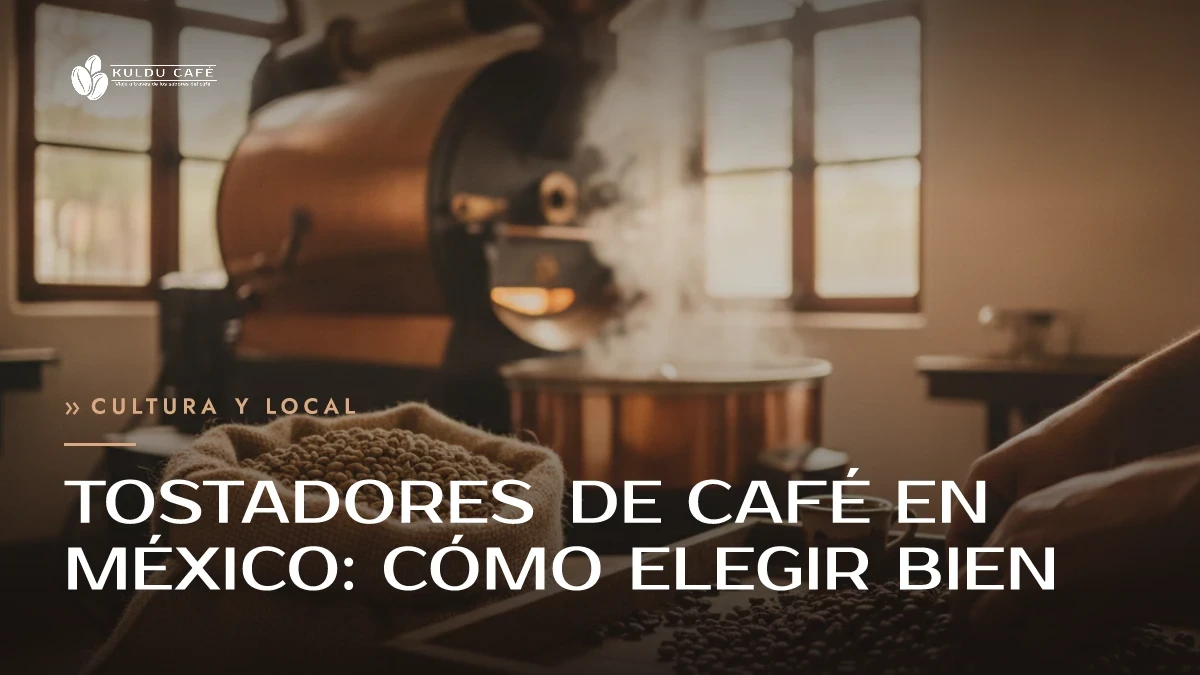 Tostadores de café en México: cómo elegir bien