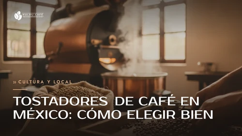 Tostadores de café en México: cómo elegir bien