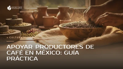 Apoyar productores de café en México: guía práctica