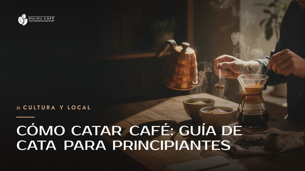 Cómo catar café: guía de cata para principiantes