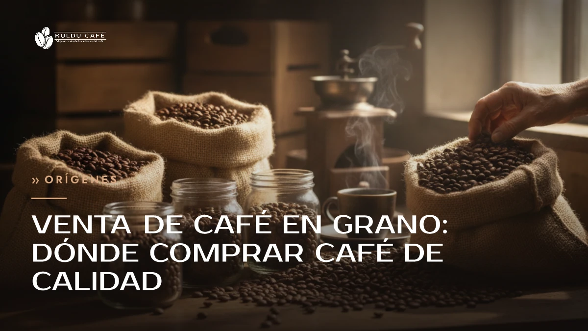 Venta de café en grano: dónde comprar café de calidad