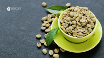 ¿Qué es el Café Verde? | Beneficios y Efectos