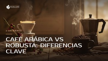 Café arábica vs robusta: diferencias clave