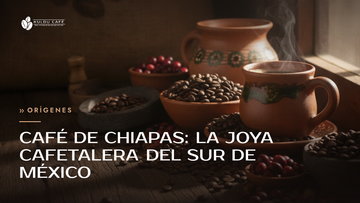 Café de Chiapas: la joya cafetalera del sur de México