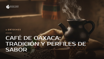 Café de Oaxaca: tradición y perfiles de sabor
