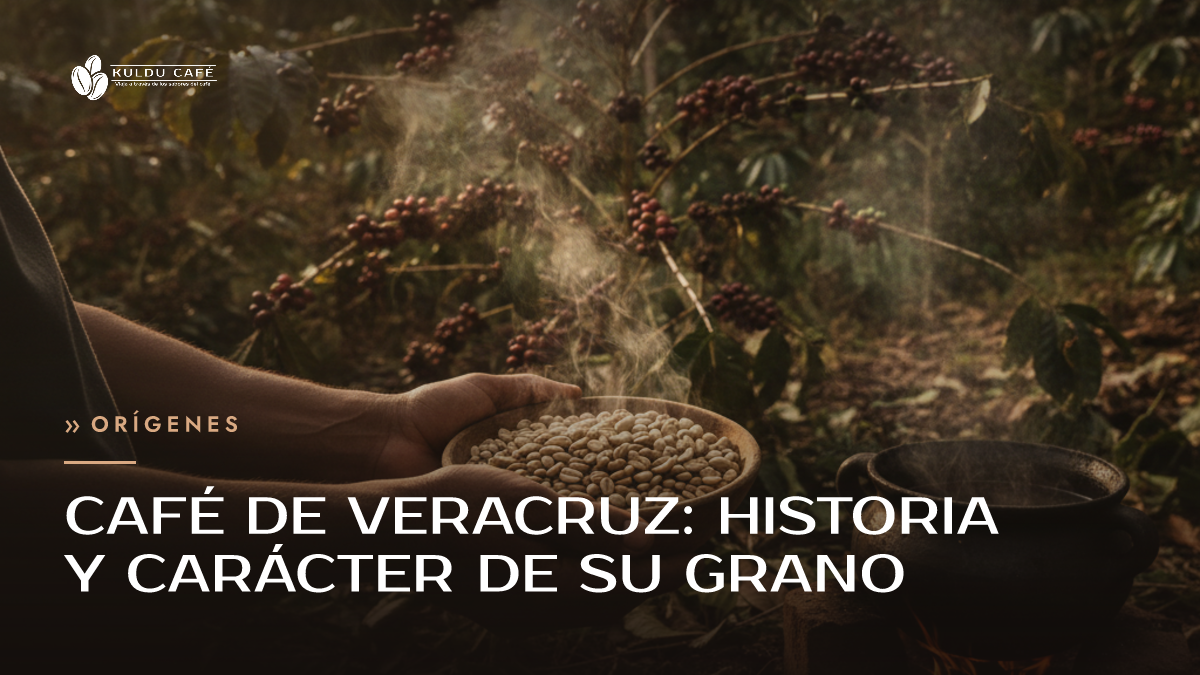 Café de Veracruz: Historia y Carácter de su Grano