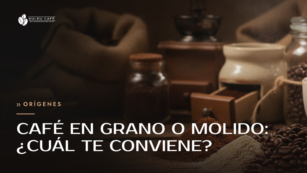 Café en grano o molido: ¿cuál te conviene?