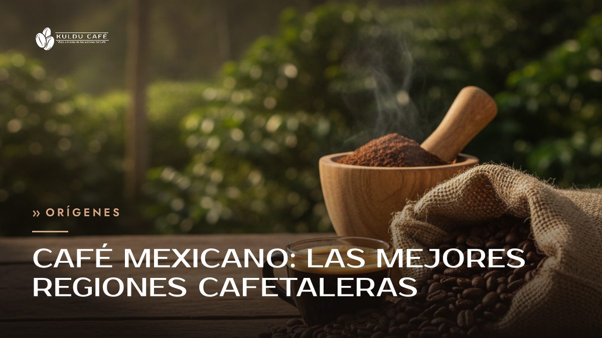 Café mexicano: las mejores regiones cafetaleras
