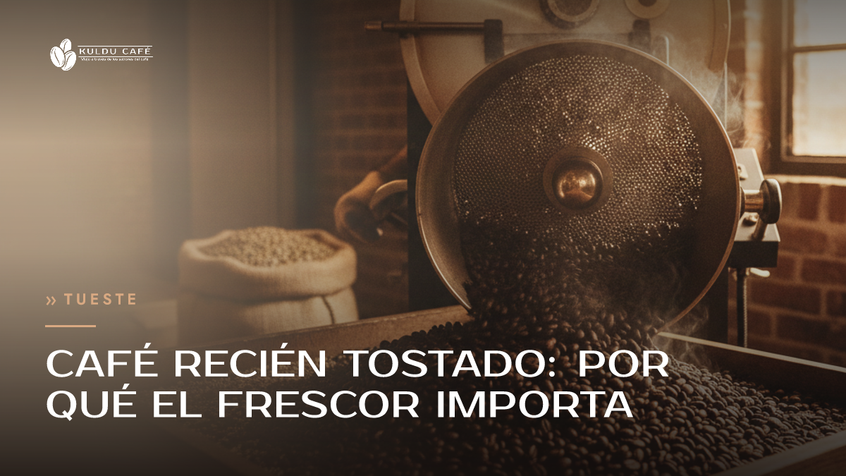 Café recién tostado: por qué el frescor importa