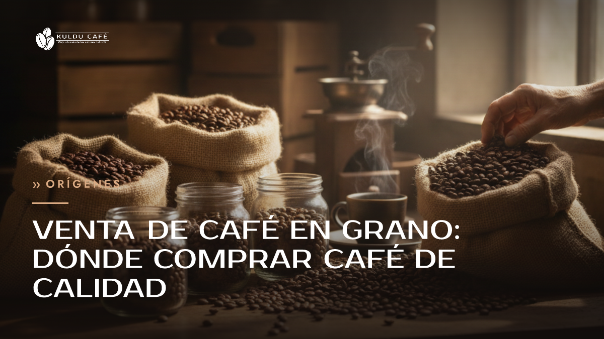 Venta de café en grano: dónde comprar café de calidad