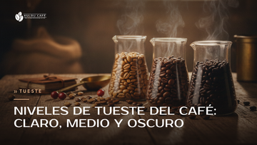 Niveles de Tueste del Café: Claro, Medio y Oscuro