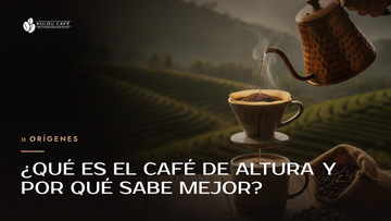 ¿Qué es el café de altura y por qué sabe mejor?