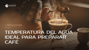 Temperatura del agua ideal para preparar café